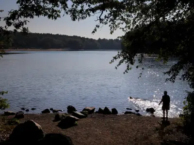 MBTA to expand bus service to Houghton’s Pond this summer