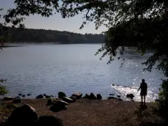 MBTA to expand bus service to Houghton’s Pond this summer